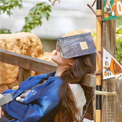 虎胆龙威5